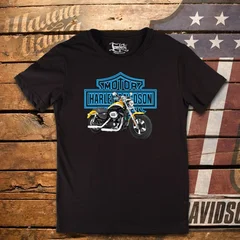 Harley Davidson, moto, bike, biker, мото, байк